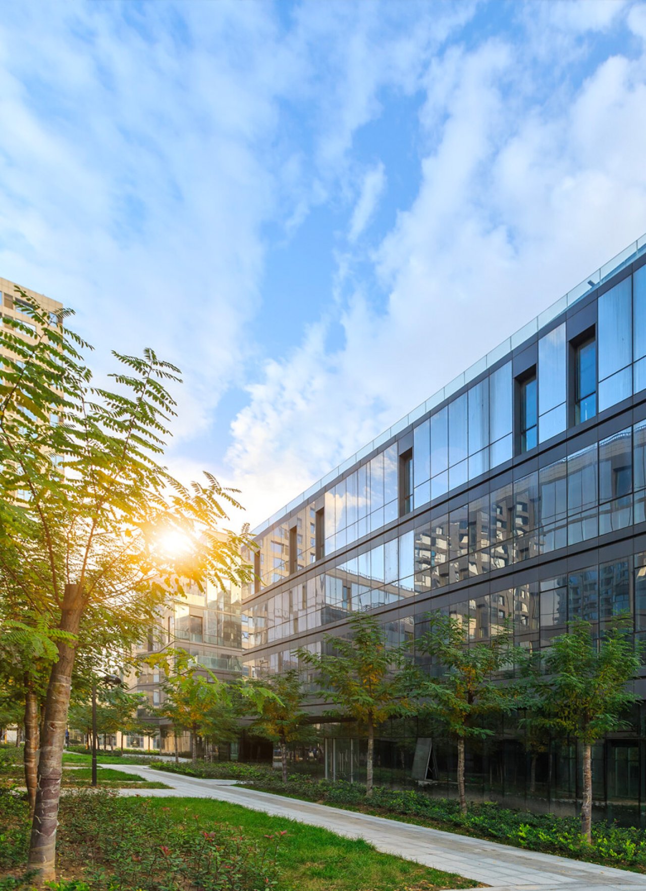 Park met een kantoorgebouw op de achtergrond